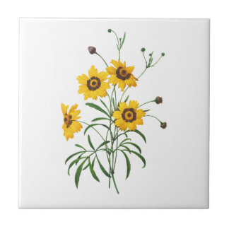 Yellow Coreopsis Elegans von Pierre Joseph Redoute Fliese