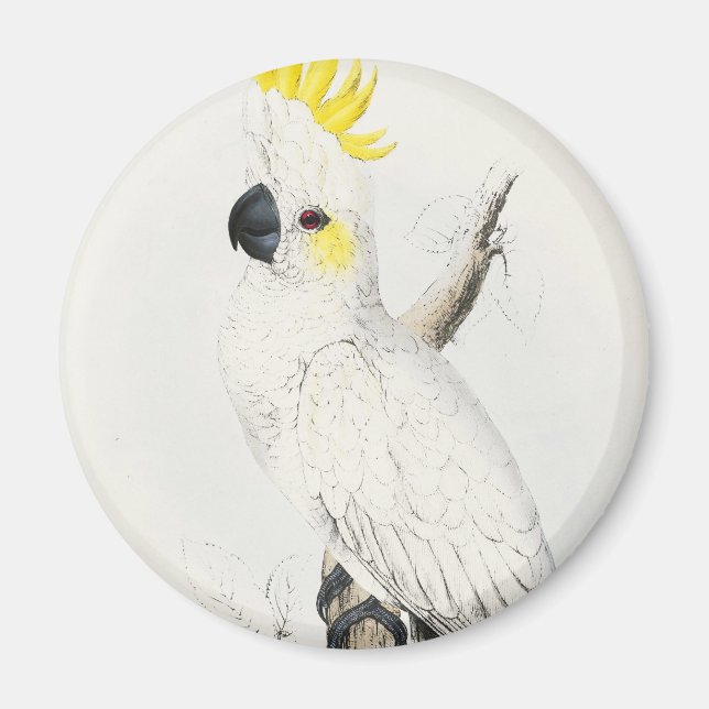 Yellow Cream Cockatoo Magnet (Vorne)