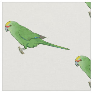 Yellow Crowned Kakariki Stoff