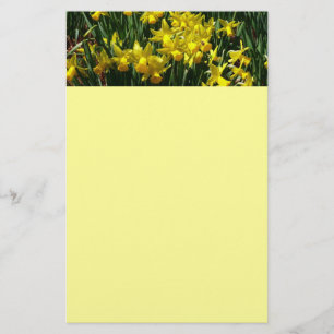 Yellow Daffodien I Cheery Spring Blumen Briefpapier