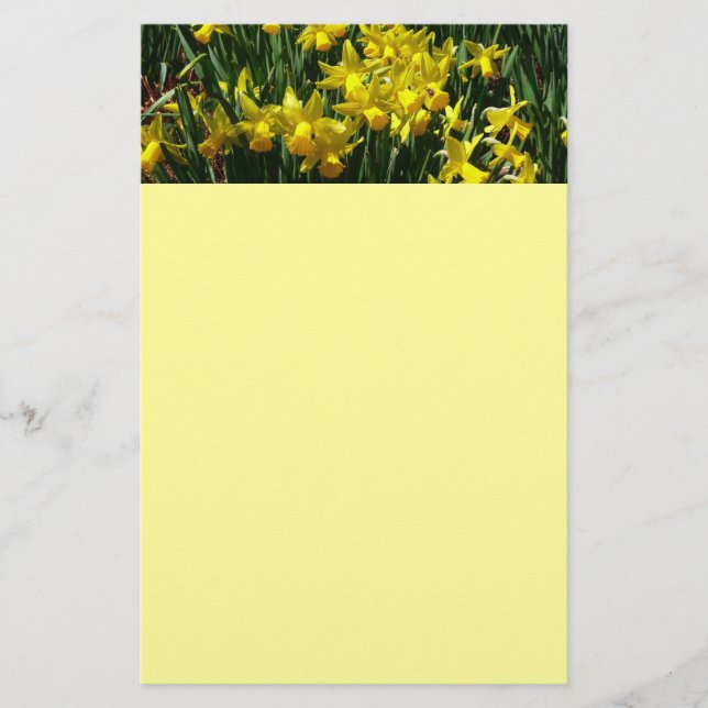 Yellow Daffodien I Cheery Spring Blumen Briefpapier (Vorderseite)