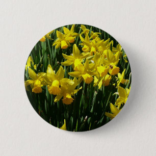 Yellow Daffodien I Cheery Spring Blumen Button