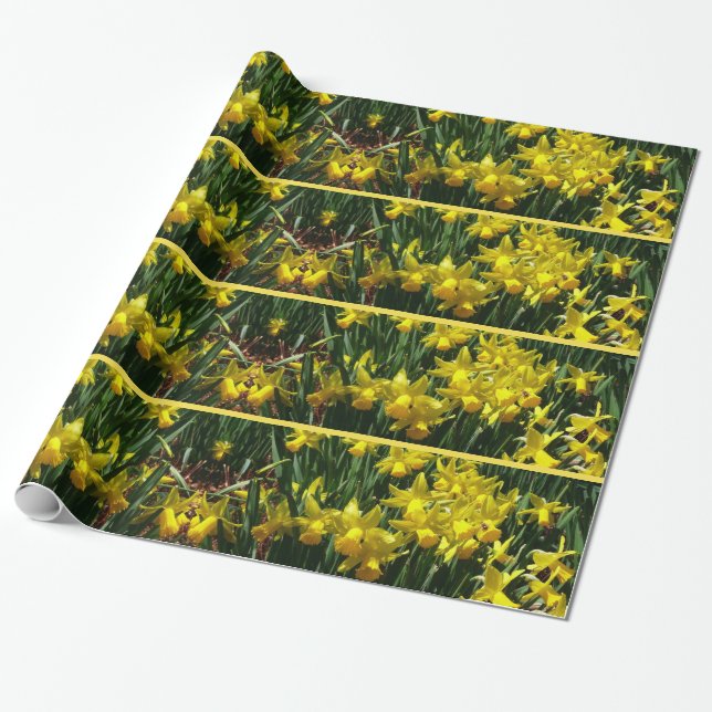 Yellow Daffodien I Cheery Spring Blumen Geschenkpapier (Ungerollt)