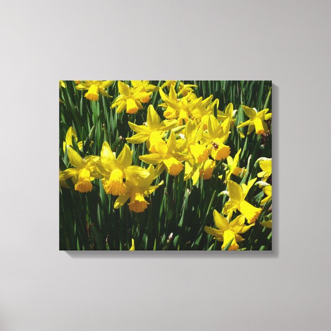 Yellow Daffodien I Cheery Spring Blumen Leinwanddruck (Vorderseite)