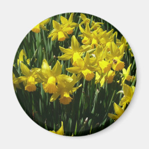 Yellow Daffodien I Cheery Spring Blumen Magnet