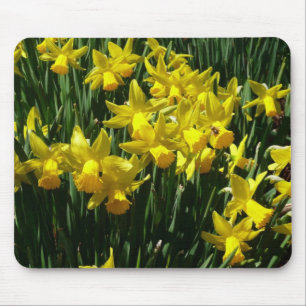 Yellow Daffodien I Cheery Spring Blumen Mousepad