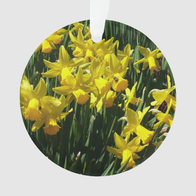 Yellow Daffodien I Cheery Spring Blumen Ornament (Vorderseite)