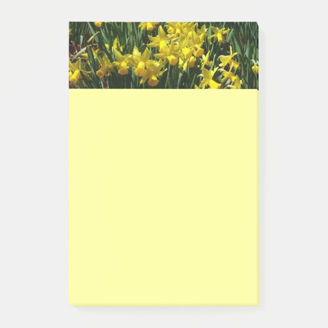 Yellow Daffodien I Cheery Spring Blumen Post-it Klebezettel (Vorderseite)