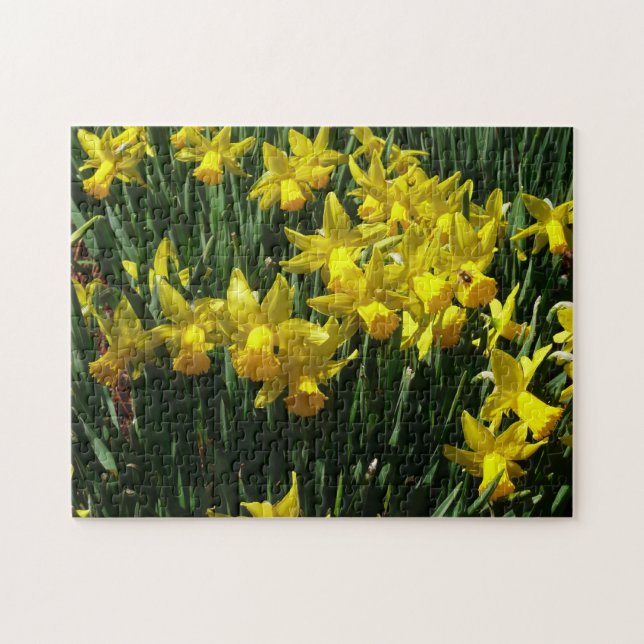 Yellow Daffodien I Cheery Spring Blumen Puzzle (Horizontal)