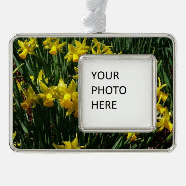 Yellow Daffodien I Cheery Spring Blumen Rahmen-Ornament Silber (Vorderseite)
