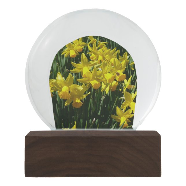 Yellow Daffodien I Cheery Spring Blumen Schneekugel (Vorderseite)