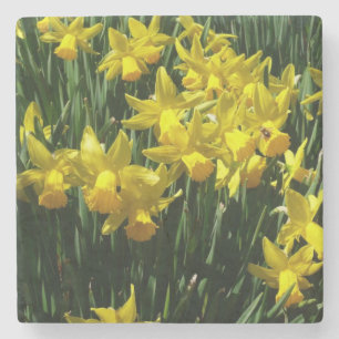 Yellow Daffodien I Cheery Spring Blumen Steinuntersetzer