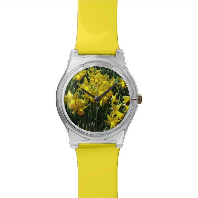 Yellow Daffodien I Cheery Spring Blumen Uhr (Nahaufnahme)