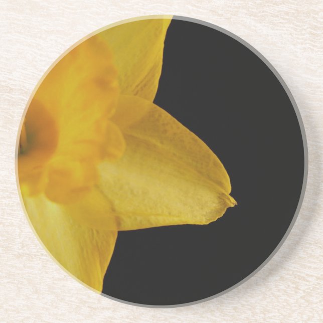 Yellow Daffodil Sandstone Untersetzer (Vorne)