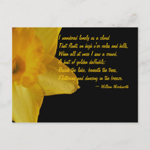 Yellow Daffodil; William Wordsworth Gedicht Postca Postkarte