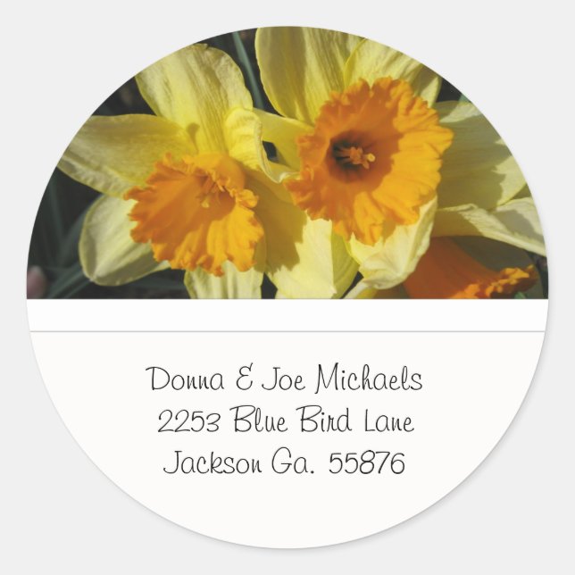 Yellow Daffodils Address Stickers (Vorderseite)