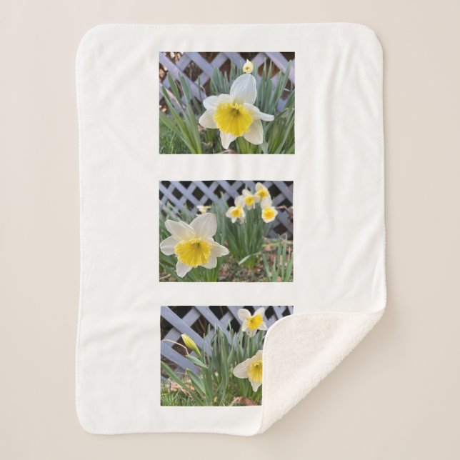 Yellow Daffodils Sherpa Blanket Sherpadecke (Vorderseite)
