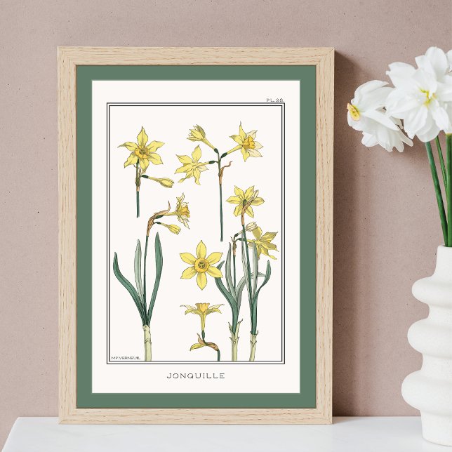Yellow Daffodils Verneuil Illustration Poster (Von Creator hochgeladen)