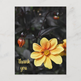 Yellow Dahlia Blume im Wisley Gardens Vielen Dank Postkarte