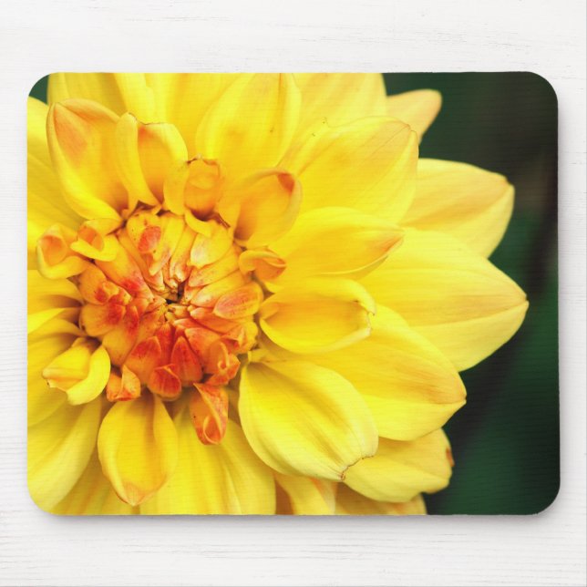 Yellow Dahlia Mousepad (Vorne)
