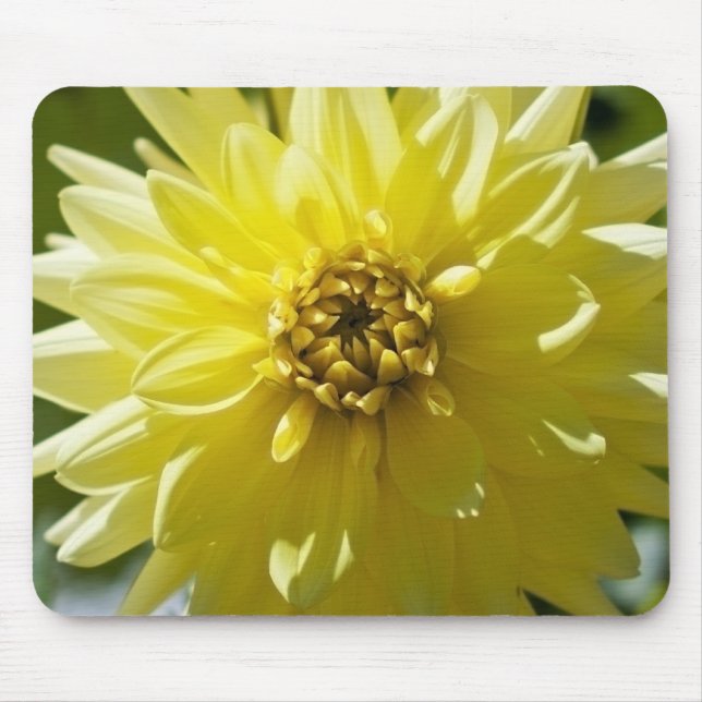 Yellow Dahlia Mousepad (Vorne)