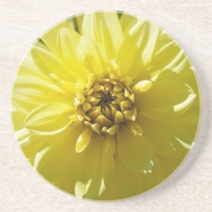 Yellow Dahlia Untersetzer