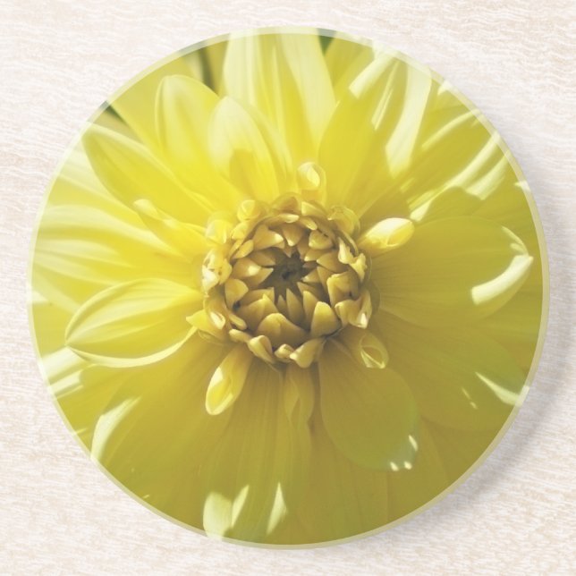 Yellow Dahlia Untersetzer (Vorne)