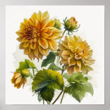 Yellow Dahlias Blume Art Print Poster