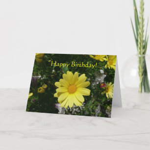 Yellow Daisies Karte