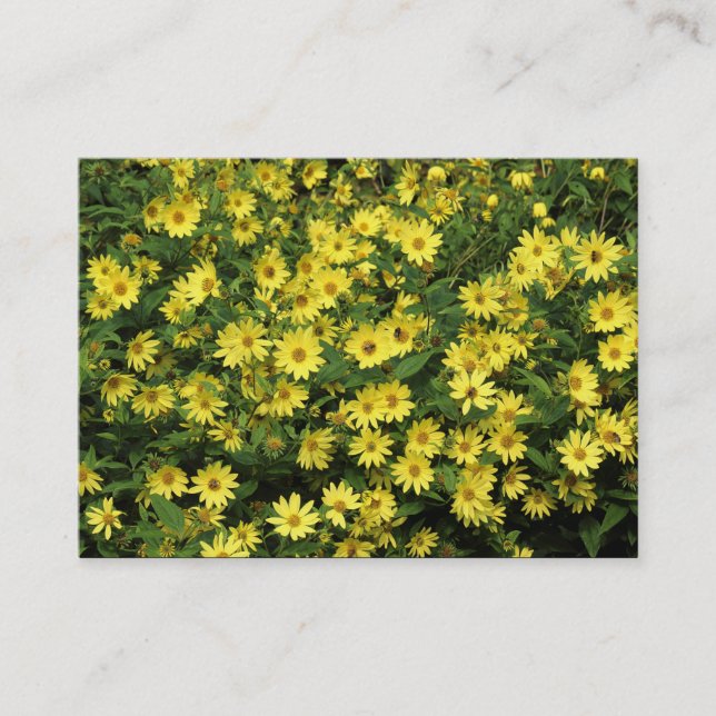 Yellow Daisies Visitenkarte (Vorderseite)