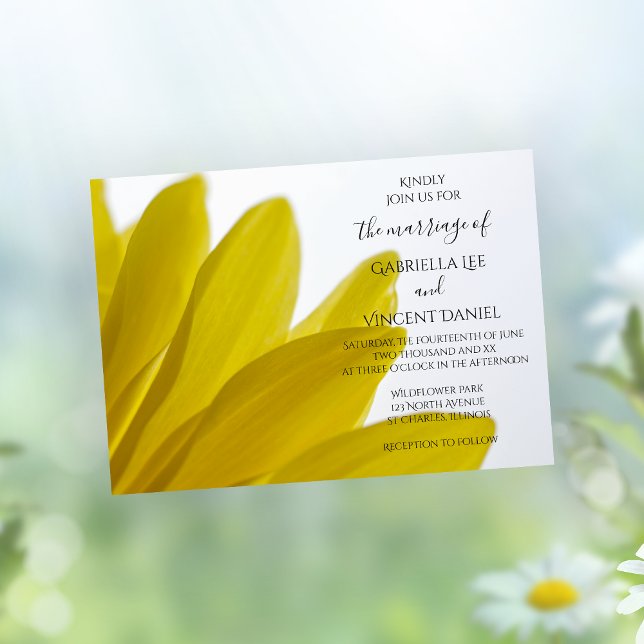 Yellow Daisy Blume Petals Hochzeit Einladung (Von Creator hochgeladen)