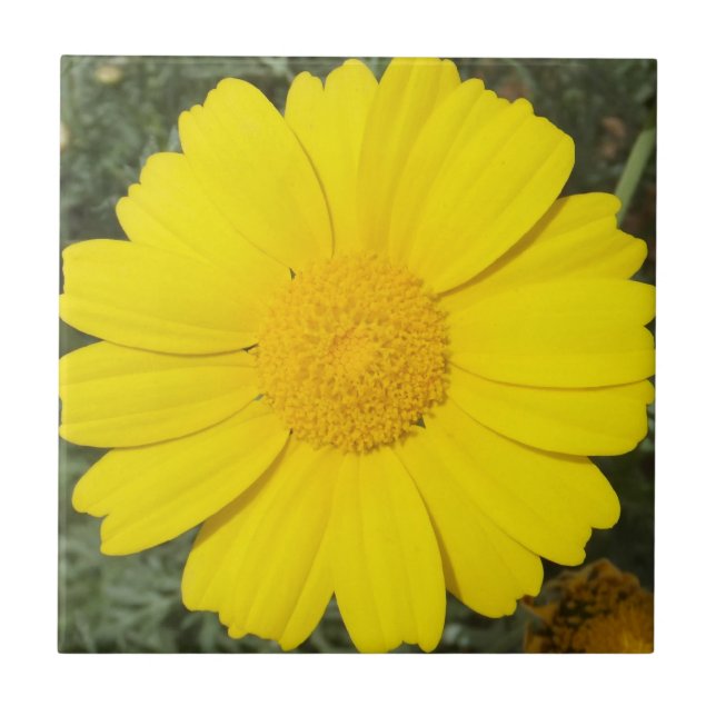 Yellow Daisy Fliese (Vorderseite)