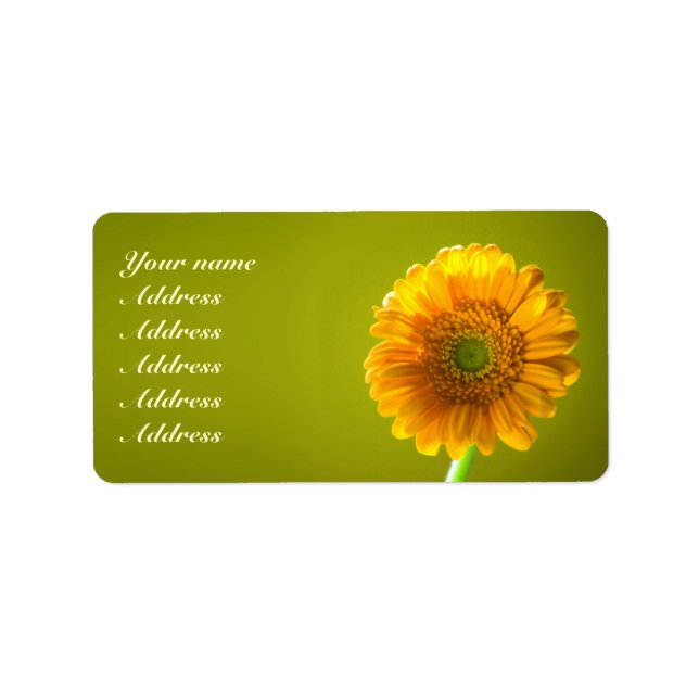 Yellow Daisy Gerbra Blume Wedding Adressaufkleber (Vorne)