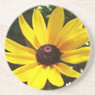 Yellow Daisy Getränkeuntersetzer