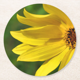 Yellow Daisy Helenium Runder Pappuntersetzer