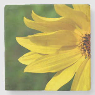 Yellow Daisy Helenium Steinuntersetzer