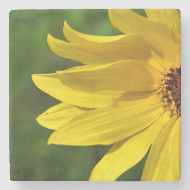 Yellow Daisy Helenium Steinuntersetzer (Vorderseite)