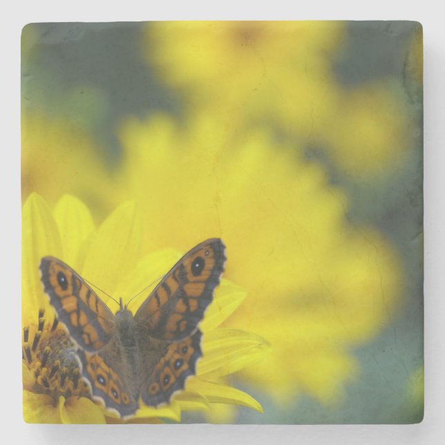 Yellow Daisy Helenium Steinuntersetzer (Vorderseite)