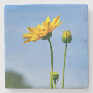 Yellow Daisy Helenium Steinuntersetzer