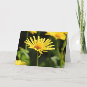 Yellow Daisy Karte