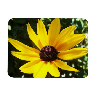 Yellow Daisy Magnet