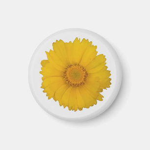 Yellow Daisy Magnet