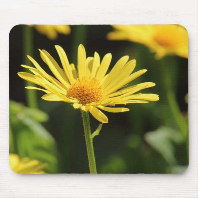Yellow Daisy Mousepad (Vorne)