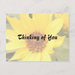 Yellow Daisy Postcard Postkarte