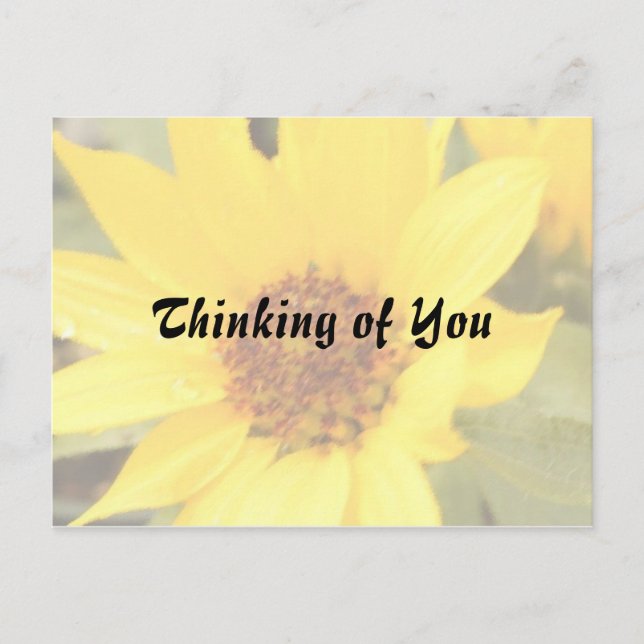 Yellow Daisy Postcard Postkarte (Vorderseite)