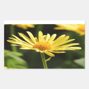 Yellow Daisy Rechteckiger Aufkleber