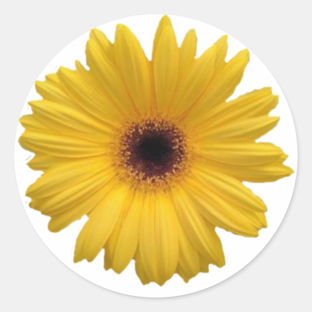 Yellow Daisy Round Stickers (Vorderseite)