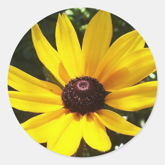 Yellow Daisy Runder Aufkleber (Vorderseite)