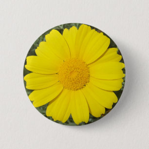 Yellow Daisy-Taste Button
