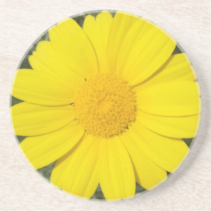 Yellow Daisy Untersetzer
